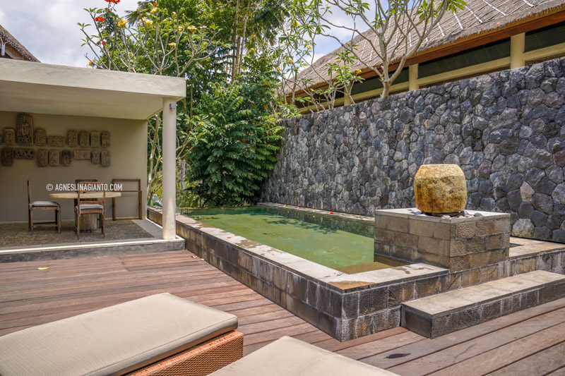 Villa with a private pool in Ubud Bali