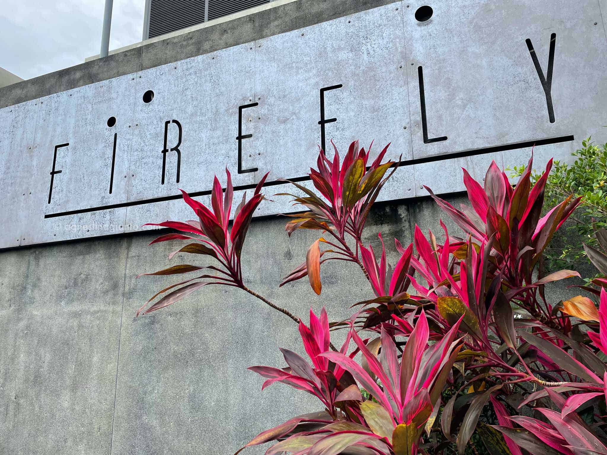Firefly Restaurant