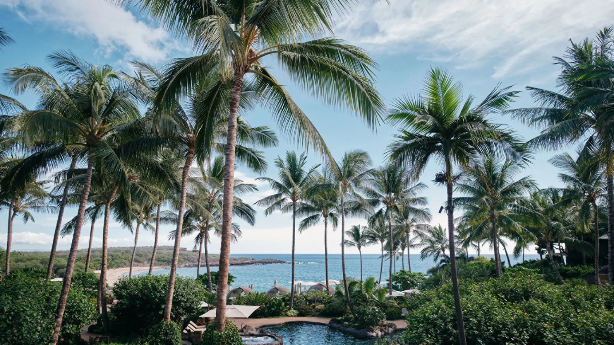 Palms and ocean at the Four Seasons oceanfront resort on Lanai