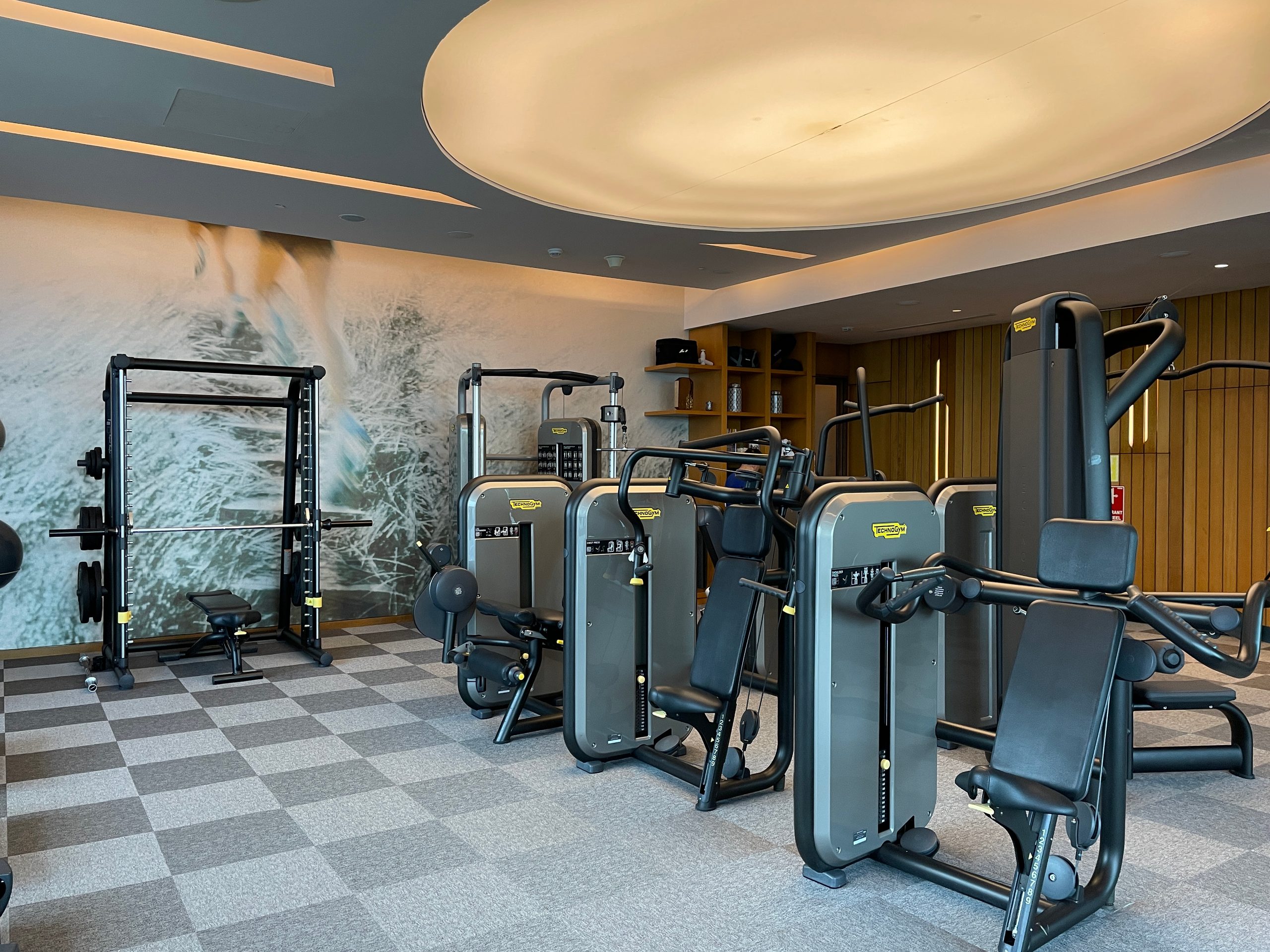 Resistance machines and free weights — The Westin Jakarta