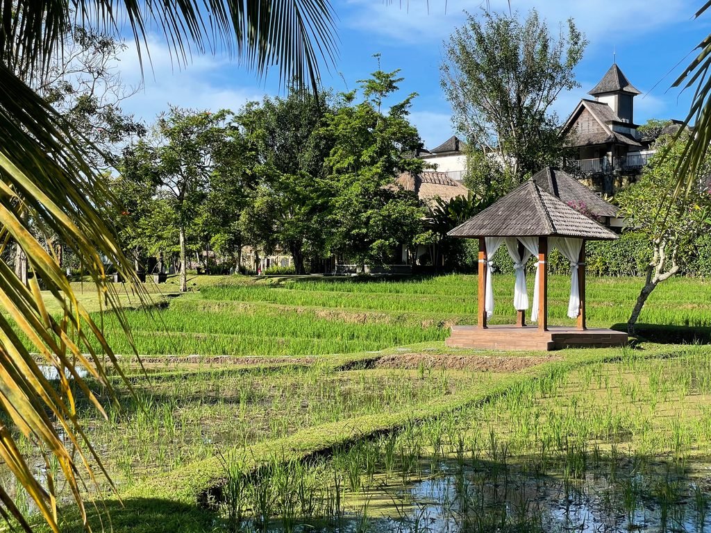 A bale pavilion with a shingled roof, standing in the rice field at Visesa Ubud