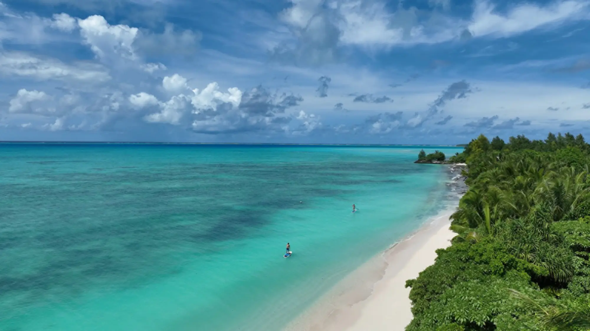 Aerial view of a white-sand beach and turquoise lagoon edged by tropical forest in Palau