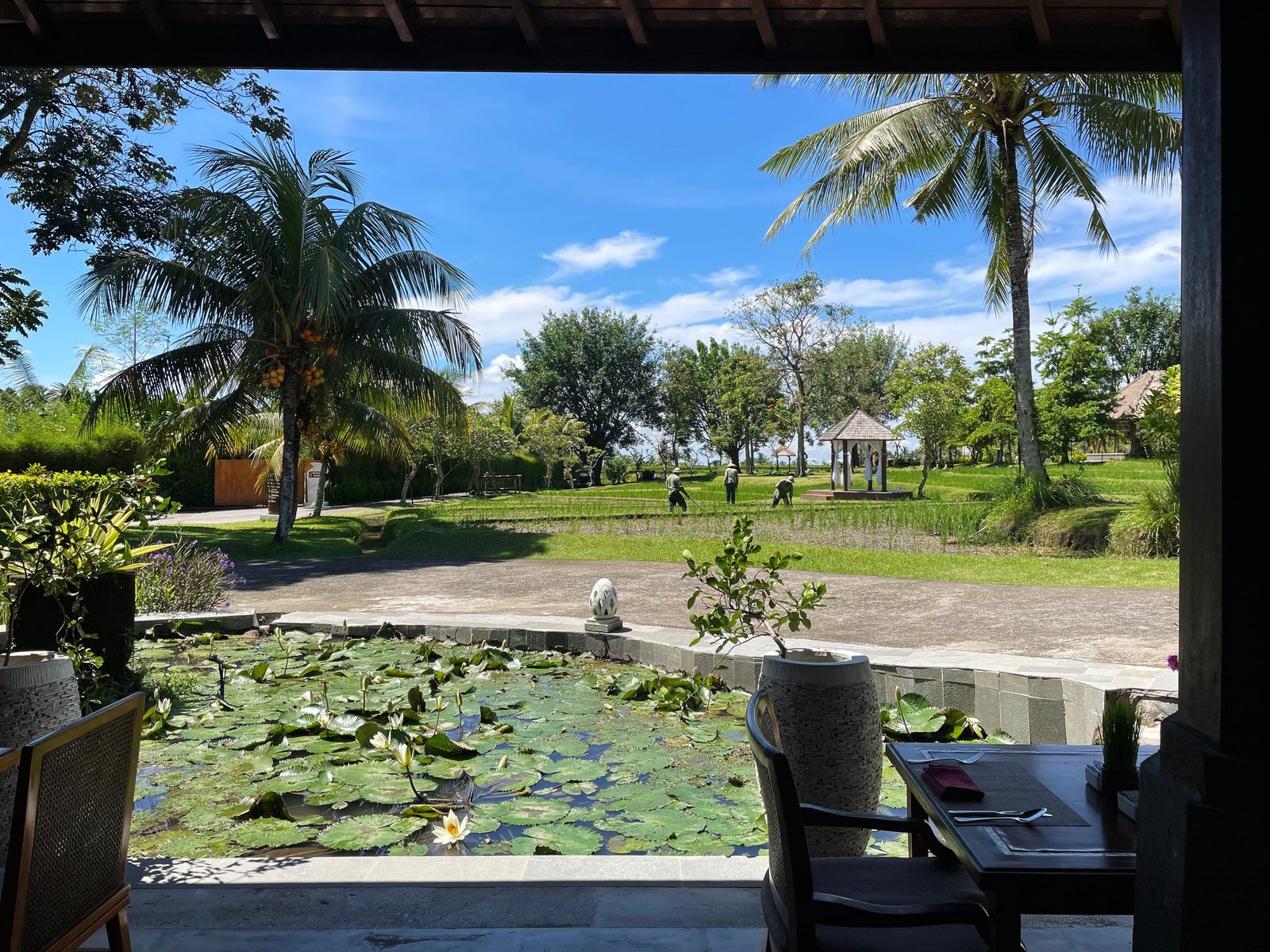 The view from a Lesung table at Visesa Ubud over a lily pond, lawn and rice fields