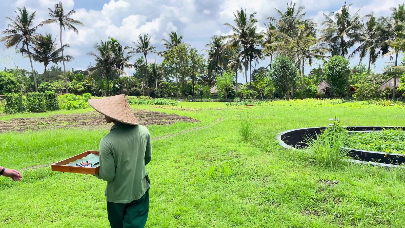 A gardener in a conical hat carrying a harvest tray across the organic farm at Visesa Ubud