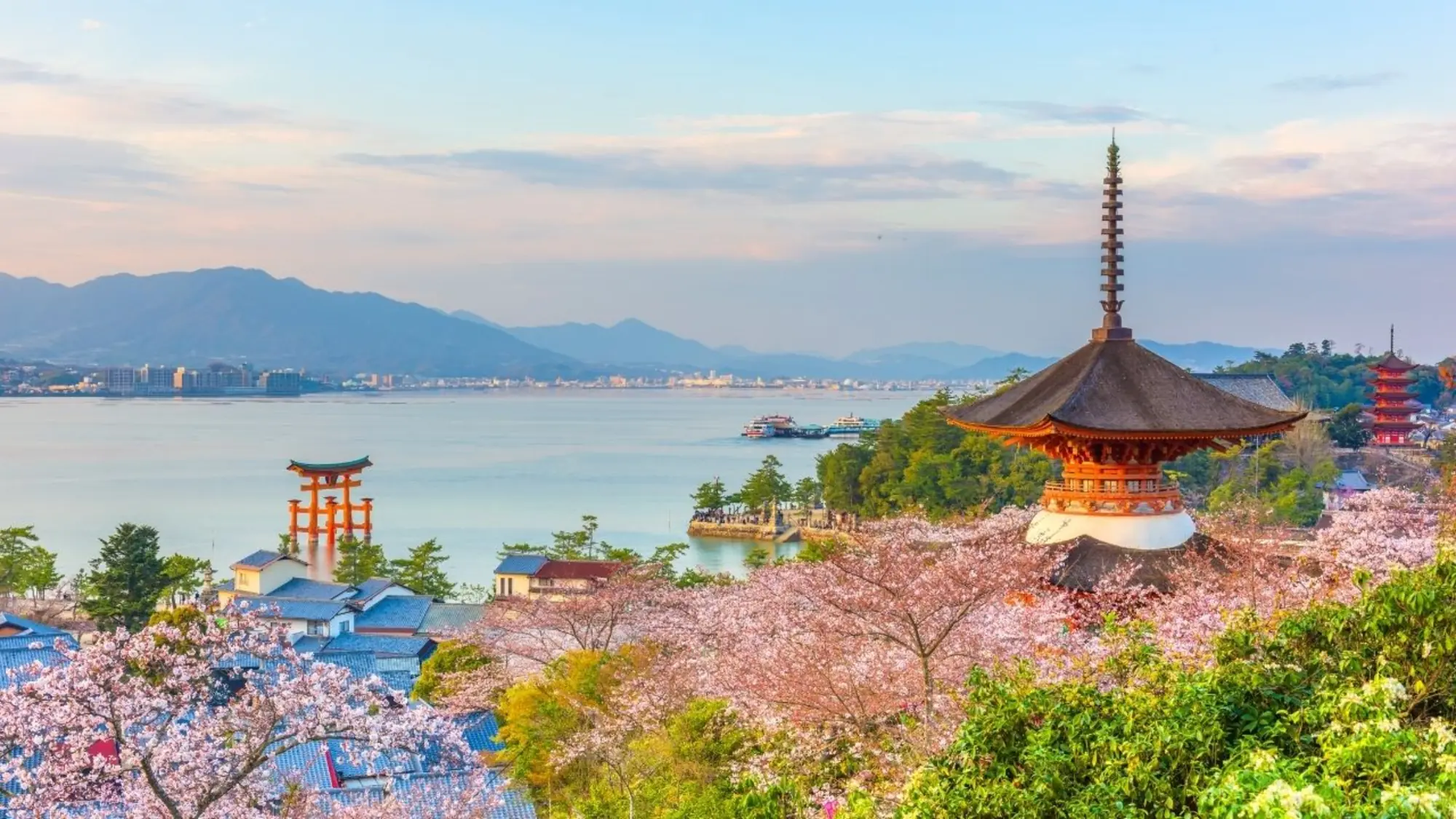 Itsukushima Shrine torii and five-storey pagoda at Miyajima, Japan, among cherry blossom