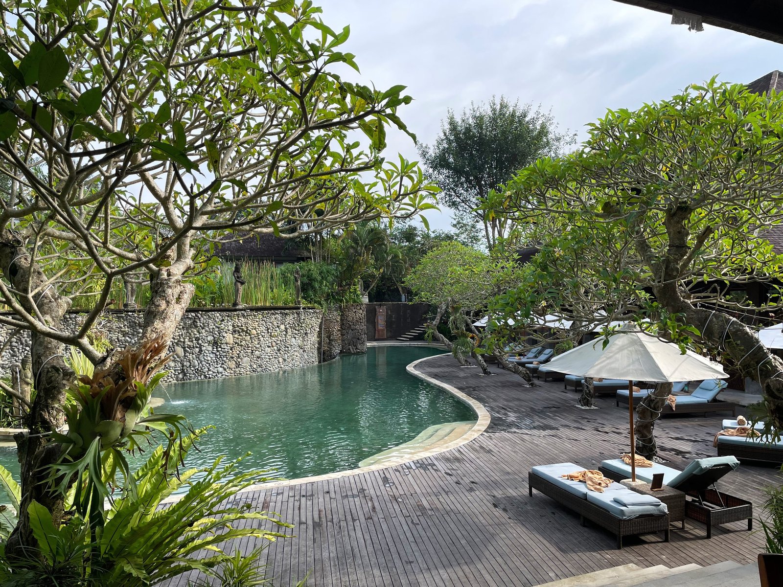 The swimming pool at Visesa Ubud curving against a river-stone wall
