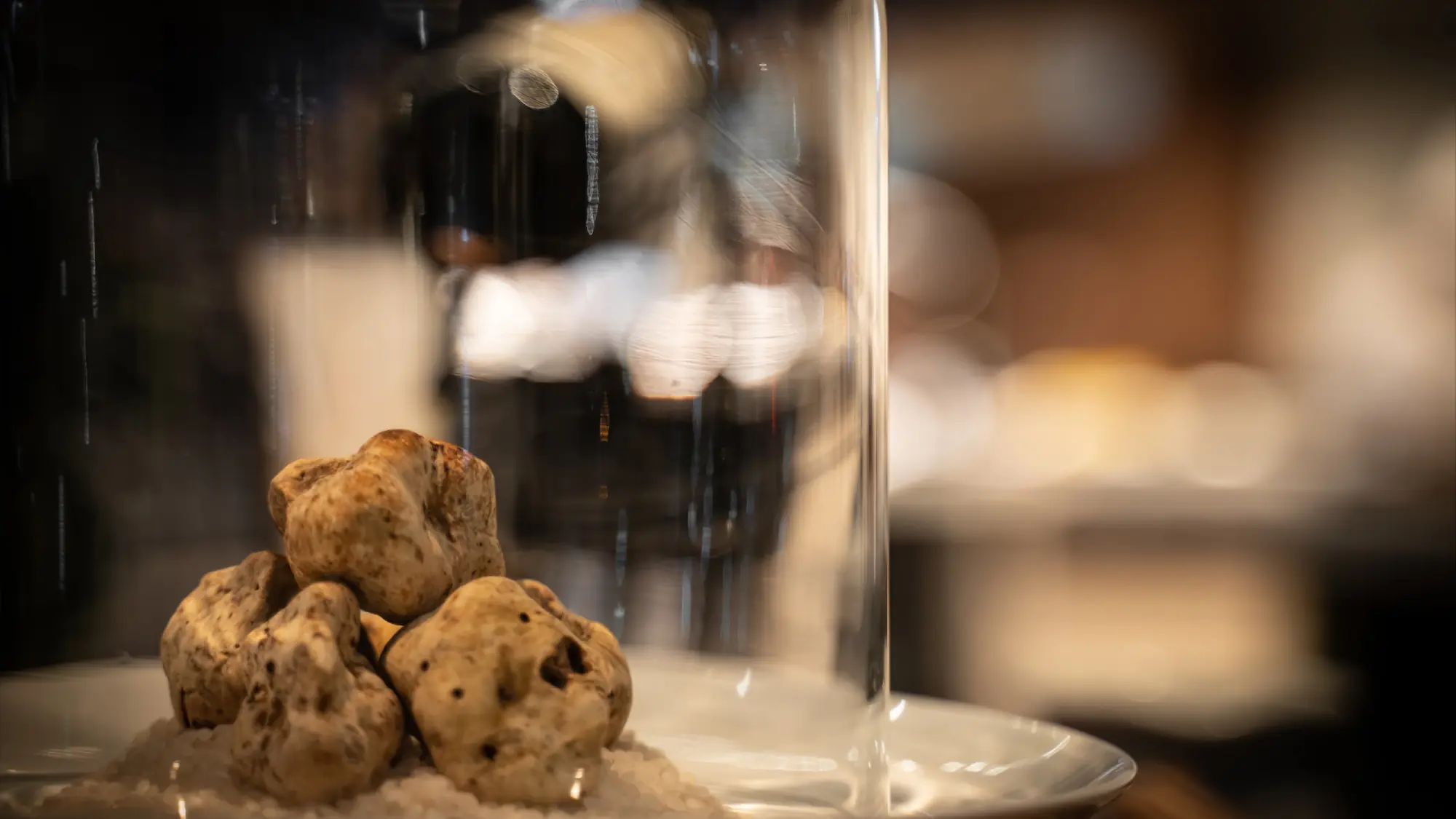 Several Alba white truffles on a plate beneath a glass cloche