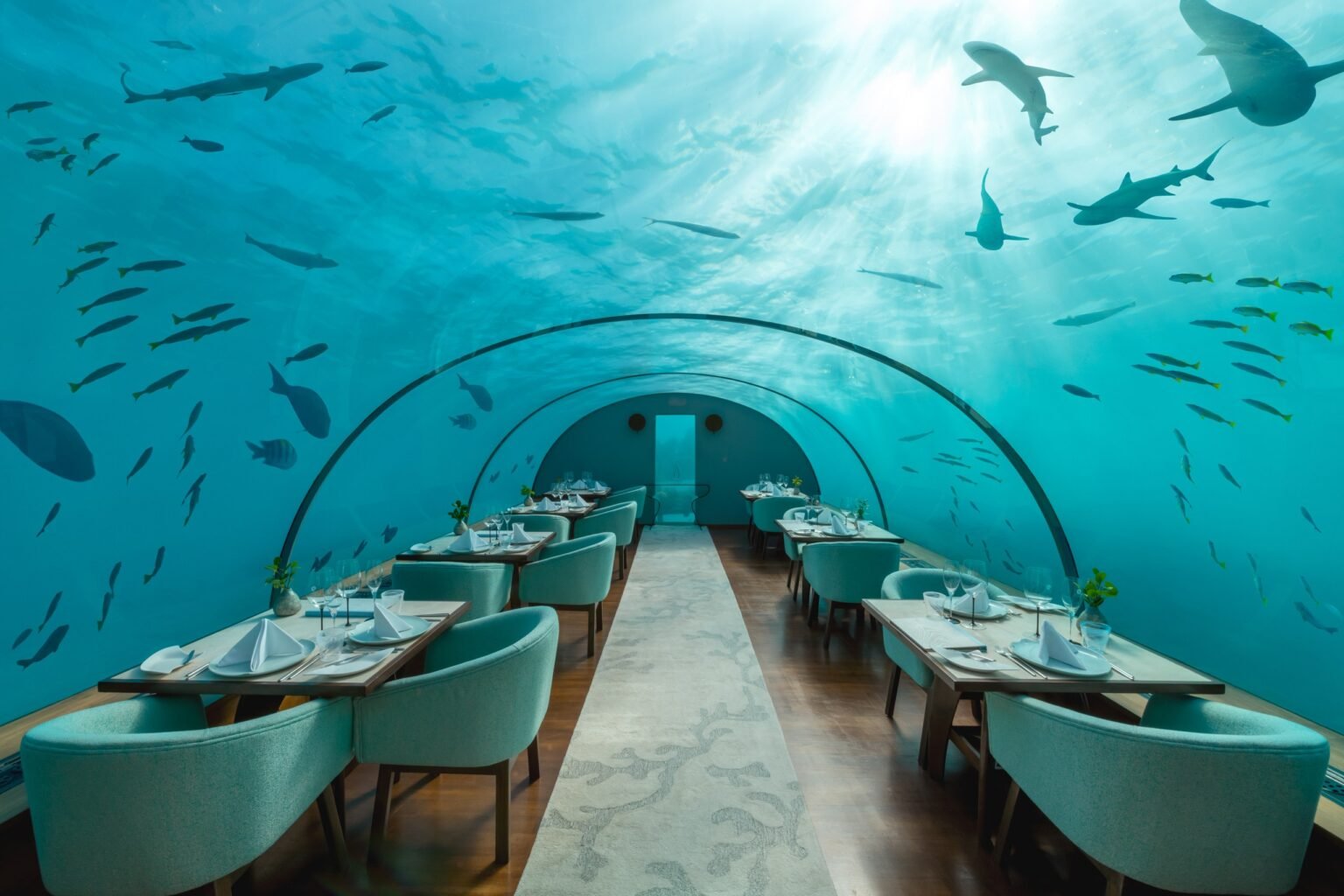Tables inside Ithaa Undersea Restaurant at Conrad Maldives, with sharks and reef fish overhead