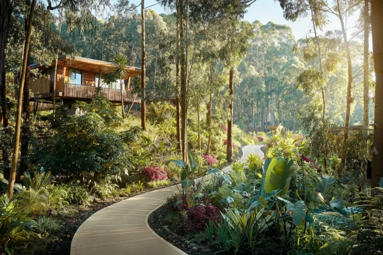 One&Only Gorilla's Nest, Musanze, Rwanda
