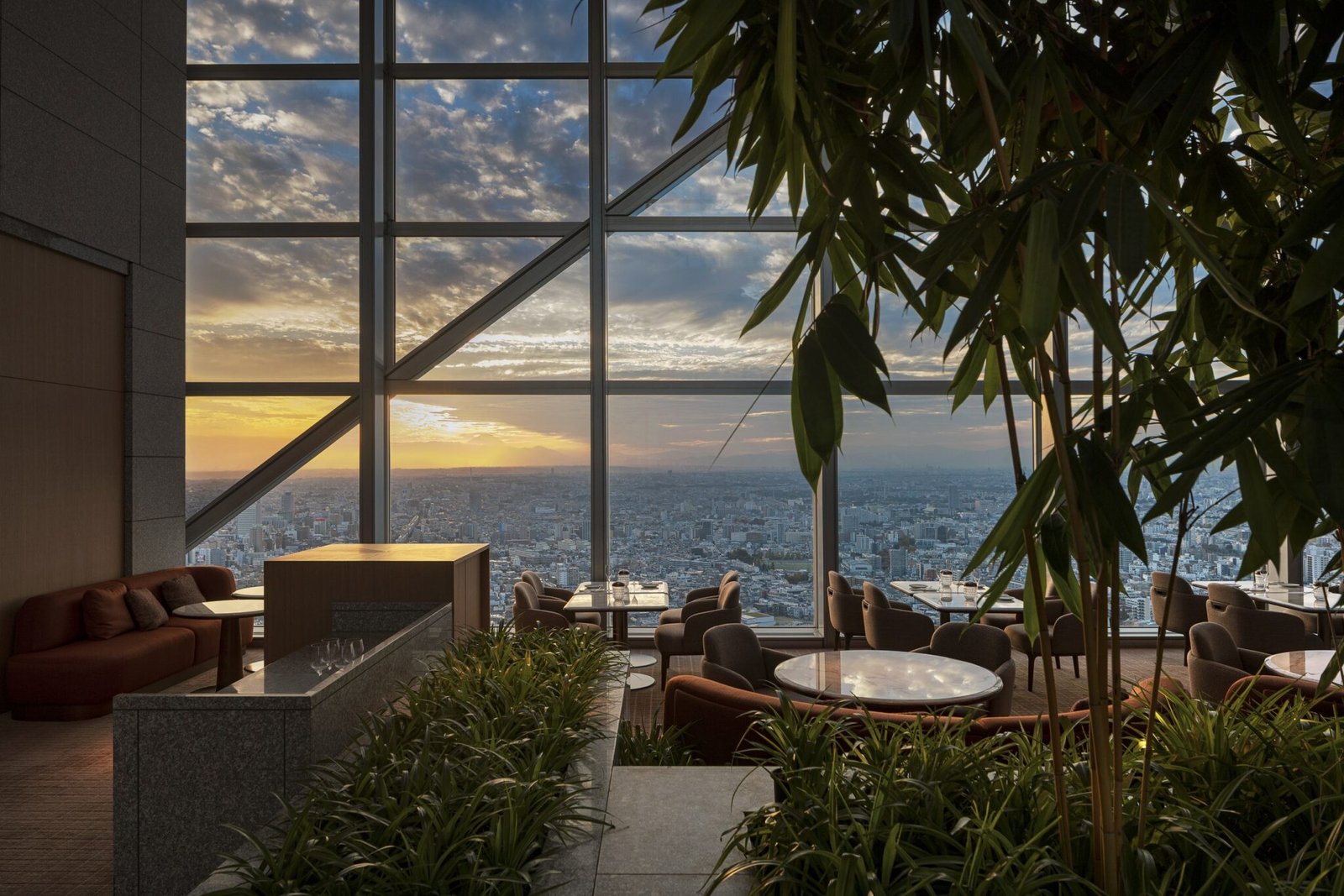 Peak Lounge at Park Hyatt Tokyo at sunset, with bamboo and Tokyo beyond the glass